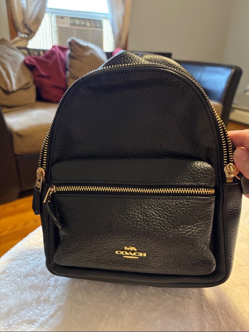 Coach Black Pebbled Leather Mini Backpack with Gold Hardware